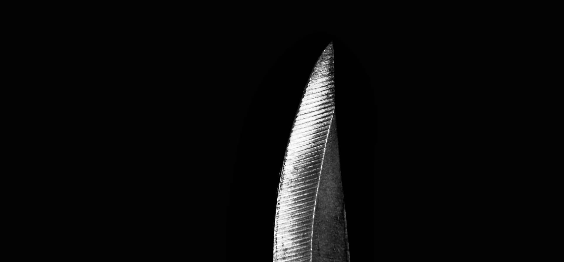 Blade