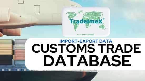 customs data helps businesses track the flow of goods