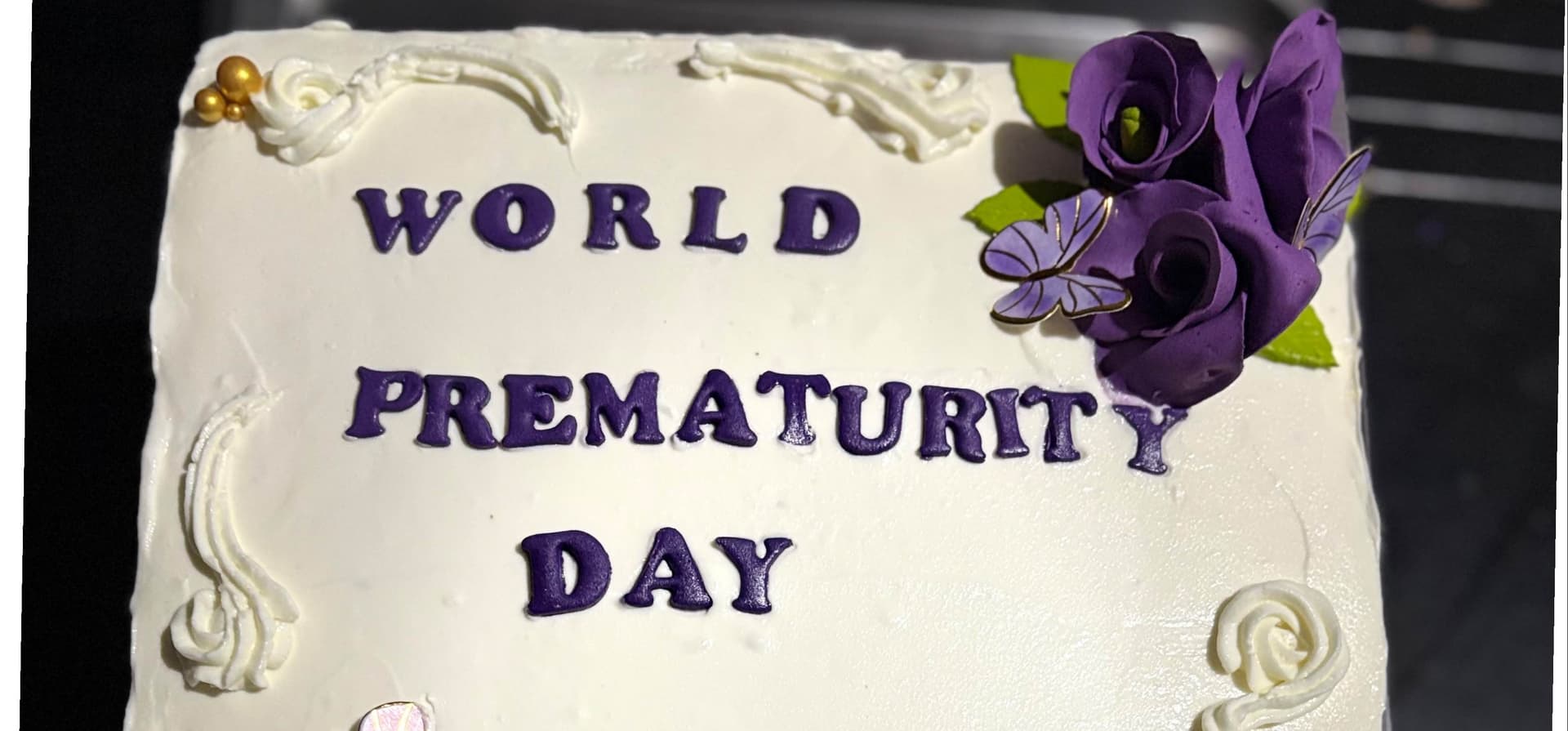 Square white cake with purple roses, green leaves, and butterflies, topped with purple letters spelling ‘World Prematurity Day’. A little slice of sweetness honoring the tiniest heroes and their families