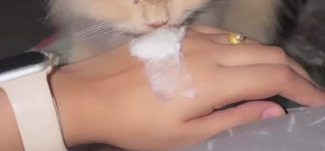 A close-up image showing a personal moment of self-care.