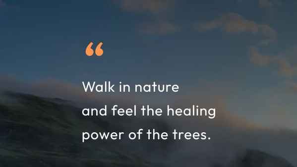 Sometimes the best therapy is not found in noise, but in quiet moments under an open sky. Nature reminds me that growth takes time, storms bring renewal, and even the darkest night makes way for sunrise.