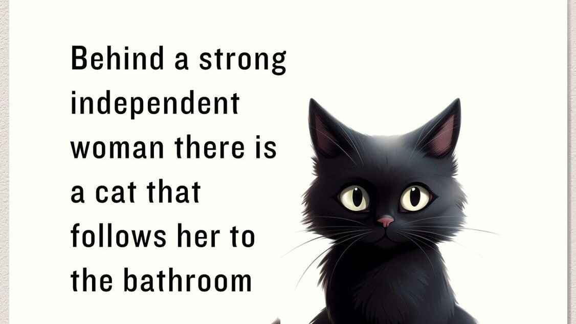 a mem about strong woman and cats following them to the bathroom