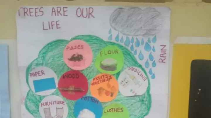 A photo of a tree on a chart